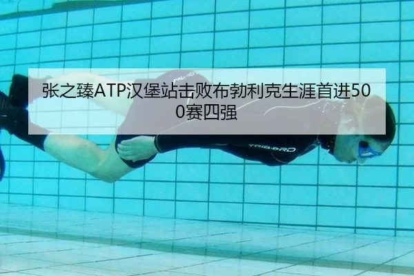 张之臻ATP汉堡站击败布勃利克生涯首进500赛四强