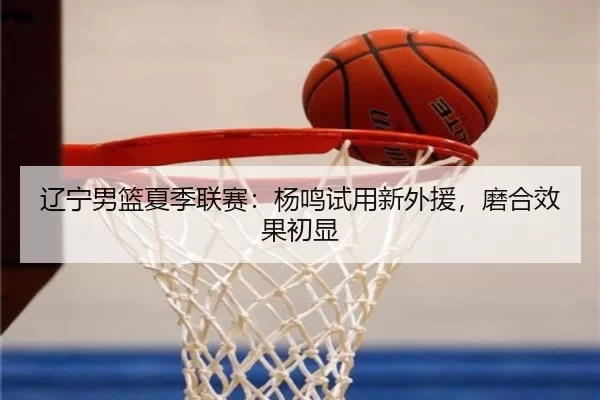 辽宁男篮夏季联赛：杨鸣试用新外援，磨合效果初显