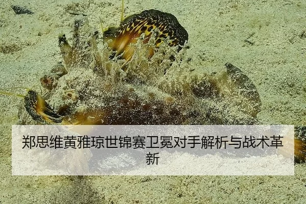 郑思维黄雅琼世锦赛卫冕对手解析与战术革新